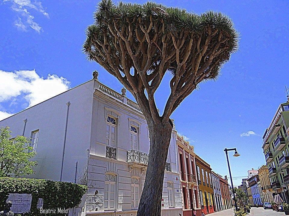 Apartamento Maya La Laguna  Esterno foto